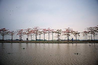 《血源诅咒》现可在SteamDeck上稳定30帧运行